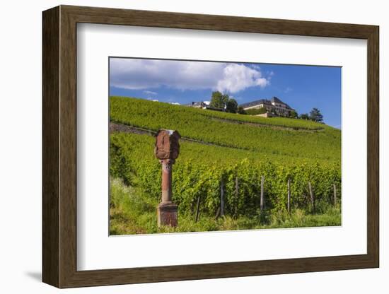 Germany, Hessen, Rheingau, Geisenheim, District Johannisberg-Udo Siebig-Framed Photographic Print