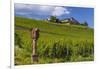 Germany, Hessen, Rheingau, Geisenheim, District Johannisberg-Udo Siebig-Framed Photographic Print