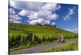 Germany, Hessen, Rheingau, Geisenheim, District Johannisberg-Udo Siebig-Stretched Canvas