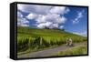 Germany, Hessen, Rheingau, Geisenheim, District Johannisberg-Udo Siebig-Framed Stretched Canvas