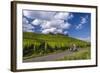 Germany, Hessen, Rheingau, Geisenheim, District Johannisberg-Udo Siebig-Framed Photographic Print