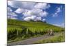 Germany, Hessen, Rheingau, Geisenheim, District Johannisberg-Udo Siebig-Mounted Photographic Print