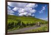 Germany, Hessen, Rheingau, Geisenheim, District Johannisberg-Udo Siebig-Framed Photographic Print