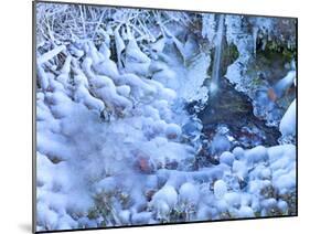 Germany, Ice on Small Waterfall, Hoarfrost on Stems, Autumn Leaves under Ice-K. Schlierbach-Mounted Photographic Print