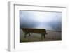 Germany, Lake Konigssee. Bench and lake in fog-Jaynes Gallery-Framed Photographic Print