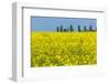 Germany, Landscape, Rape Field-Catharina Lux-Framed Photographic Print