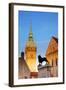 Germany, Lower Saxony, Braunschweig. the Tower from the Town Hall and Sculpture of the Lion-Ken Scicluna-Framed Photographic Print