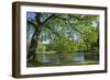 Germany, Lower Saxony, Hannover, Georgengarten, Pond, Tree, Morning Light-Chris Seba-Framed Premium Photographic Print