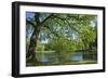 Germany, Lower Saxony, Hannover, Georgengarten, Pond, Tree, Morning Light-Chris Seba-Framed Premium Photographic Print