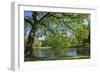 Germany, Lower Saxony, Hannover, Georgengarten, Pond, Tree, Morning Light-Chris Seba-Framed Premium Photographic Print