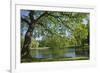 Germany, Lower Saxony, Hannover, Georgengarten, Pond, Tree, Morning Light-Chris Seba-Framed Photographic Print