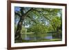 Germany, Lower Saxony, Hannover, Georgengarten, Pond, Tree, Morning Light-Chris Seba-Framed Photographic Print