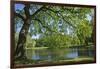 Germany, Lower Saxony, Hannover, Georgengarten, Pond, Tree, Morning Light-Chris Seba-Framed Photographic Print