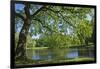 Germany, Lower Saxony, Hannover, Georgengarten, Pond, Tree, Morning Light-Chris Seba-Framed Photographic Print