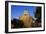 Germany, Lower Saxony, Hannover, Provost's Church St. Clemens-Chris Seba-Framed Photographic Print