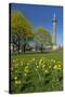 Germany, Lower Saxony, Hannover, Waterloo Column, Meadow, Daffodils-Chris Seba-Stretched Canvas