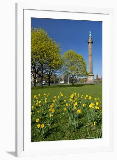 Germany, Lower Saxony, Hannover, Waterloo Column, Meadow, Daffodils-Chris Seba-Framed Photographic Print