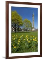 Germany, Lower Saxony, Hannover, Waterloo Column, Meadow, Daffodils-Chris Seba-Framed Photographic Print