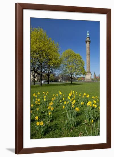 Germany, Lower Saxony, Hannover, Waterloo Column, Meadow, Daffodils-Chris Seba-Framed Photographic Print