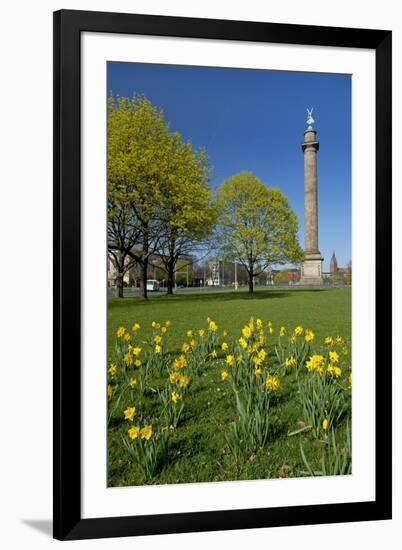 Germany, Lower Saxony, Hannover, Waterloo Column, Meadow, Daffodils-Chris Seba-Framed Photographic Print