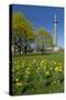 Germany, Lower Saxony, Hannover, Waterloo Column, Meadow, Daffodils-Chris Seba-Stretched Canvas