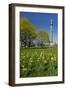 Germany, Lower Saxony, Hannover, Waterloo Column, Meadow, Daffodils-Chris Seba-Framed Photographic Print