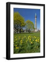 Germany, Lower Saxony, Hannover, Waterloo Column, Meadow, Daffodils-Chris Seba-Framed Photographic Print