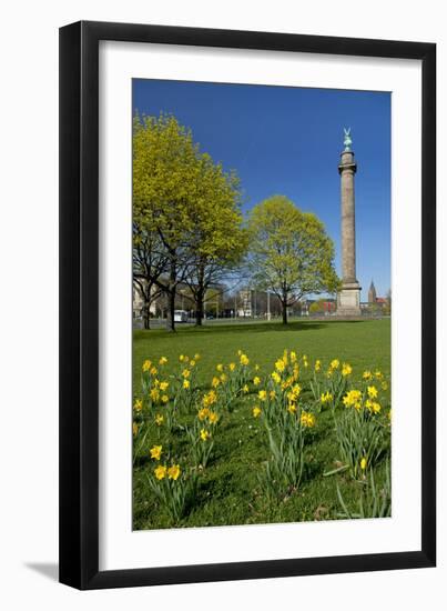 Germany, Lower Saxony, Hannover, Waterloo Column, Meadow, Daffodils-Chris Seba-Framed Photographic Print