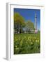 Germany, Lower Saxony, Hannover, Waterloo Column, Meadow, Daffodils-Chris Seba-Framed Photographic Print