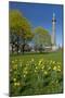 Germany, Lower Saxony, Hannover, Waterloo Column, Meadow, Daffodils-Chris Seba-Mounted Photographic Print