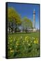 Germany, Lower Saxony, Hannover, Waterloo Column, Meadow, Daffodils-Chris Seba-Framed Stretched Canvas