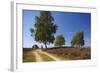 Germany, Lower Saxony, LŸneburg Heath, Heath Path, Cyclists-Chris Seba-Framed Photographic Print