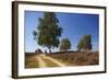 Germany, Lower Saxony, LŸneburg Heath, Heath Path, Cyclists-Chris Seba-Framed Photographic Print