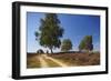 Germany, Lower Saxony, LŸneburg Heath, Heath Path, Cyclists-Chris Seba-Framed Photographic Print