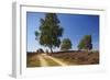 Germany, Lower Saxony, LŸneburg Heath, Heath Path, Cyclists-Chris Seba-Framed Photographic Print