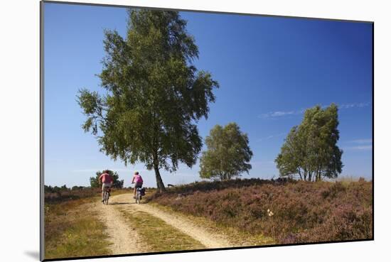 Germany, Lower Saxony, LŸneburg Heath, Heath Path, Cyclists-Chris Seba-Mounted Photographic Print