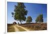 Germany, Lower Saxony, LŸneburg Heath, Heath Path, Cyclists-Chris Seba-Framed Photographic Print