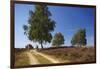 Germany, Lower Saxony, LŸneburg Heath, Heath Path, Cyclists-Chris Seba-Framed Photographic Print