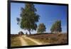 Germany, Lower Saxony, LŸneburg Heath, Heath Path, Cyclists-Chris Seba-Framed Photographic Print