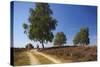 Germany, Lower Saxony, LŸneburg Heath, Heath Path, Cyclists-Chris Seba-Stretched Canvas