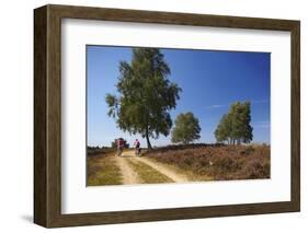 Germany, Lower Saxony, LŸneburg Heath, Heath Path, Cyclists-Chris Seba-Framed Photographic Print