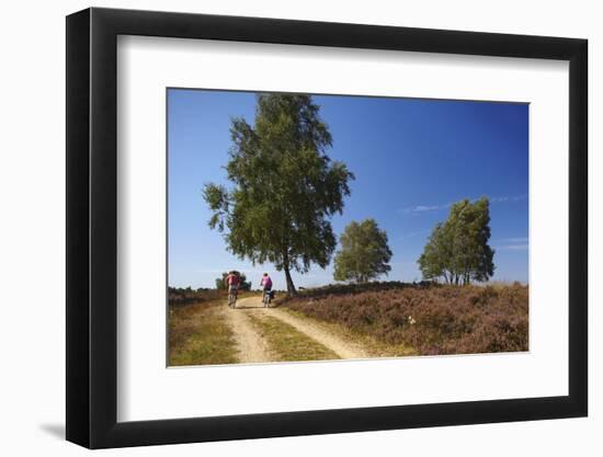 Germany, Lower Saxony, LŸneburg Heath, Heath Path, Cyclists-Chris Seba-Framed Photographic Print