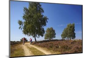 Germany, Lower Saxony, LŸneburg Heath, Heath Path, Cyclists-Chris Seba-Mounted Photographic Print