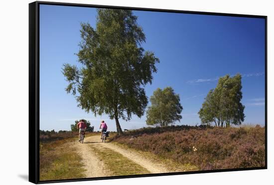 Germany, Lower Saxony, LŸneburg Heath, Heath Path, Cyclists-Chris Seba-Framed Stretched Canvas