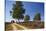 Germany, Lower Saxony, LŸneburg Heath, Heath Path, Cyclists-Chris Seba-Stretched Canvas