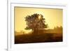 Germany, Lower Saxony, Weser Hills, Nature, Evening Light-Chris Seba-Framed Photographic Print