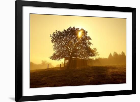 Germany, Lower Saxony, Weser Hills, Nature, Evening Light-Chris Seba-Framed Photographic Print