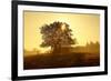 Germany, Lower Saxony, Weser Hills, Nature, Evening Light-Chris Seba-Framed Photographic Print