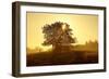 Germany, Lower Saxony, Weser Hills, Nature, Evening Light-Chris Seba-Framed Photographic Print