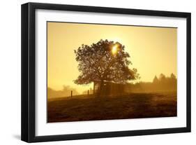 Germany, Lower Saxony, Weser Hills, Nature, Evening Light-Chris Seba-Framed Photographic Print